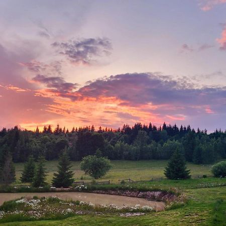 Harghita Log Houses Izvoare  Esterno foto